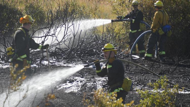 Bird sparks fire in Douglas County