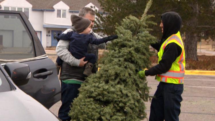 Denver’s Christmas trees take on new life as mulch in Treecycle program