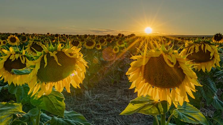 September is changing more than any other month on the Front Range