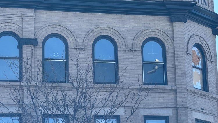 Hate symbols removed from apartment windows, property manager responds