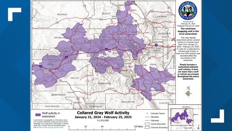 Wolves traveled farther onto Western Slope over past month, new map shows