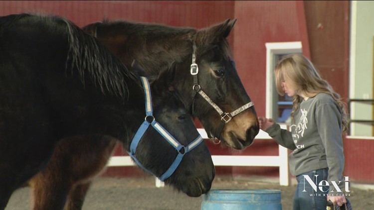 Blind therapy horse still inspires ranch visitors