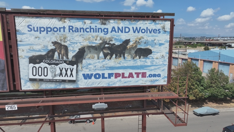 Billboards tout ‘Born to be Wild’ license plate funding wolf–rancher coexistence