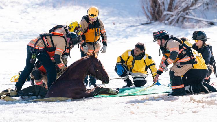 Loveland Fire Rescue Authority rescues horse halfway submerged in frozen pond