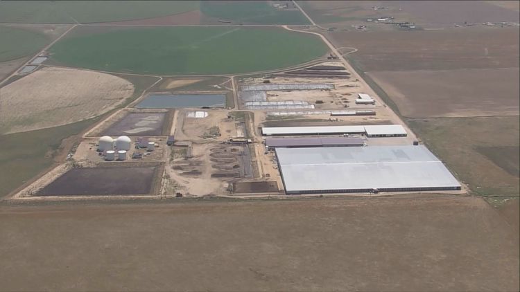 6 people, including high school student, found dead at Weld County dairy