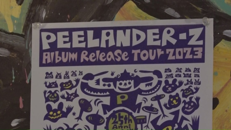 Punk band Peelander-Z hospitalized after crash in New Mexico