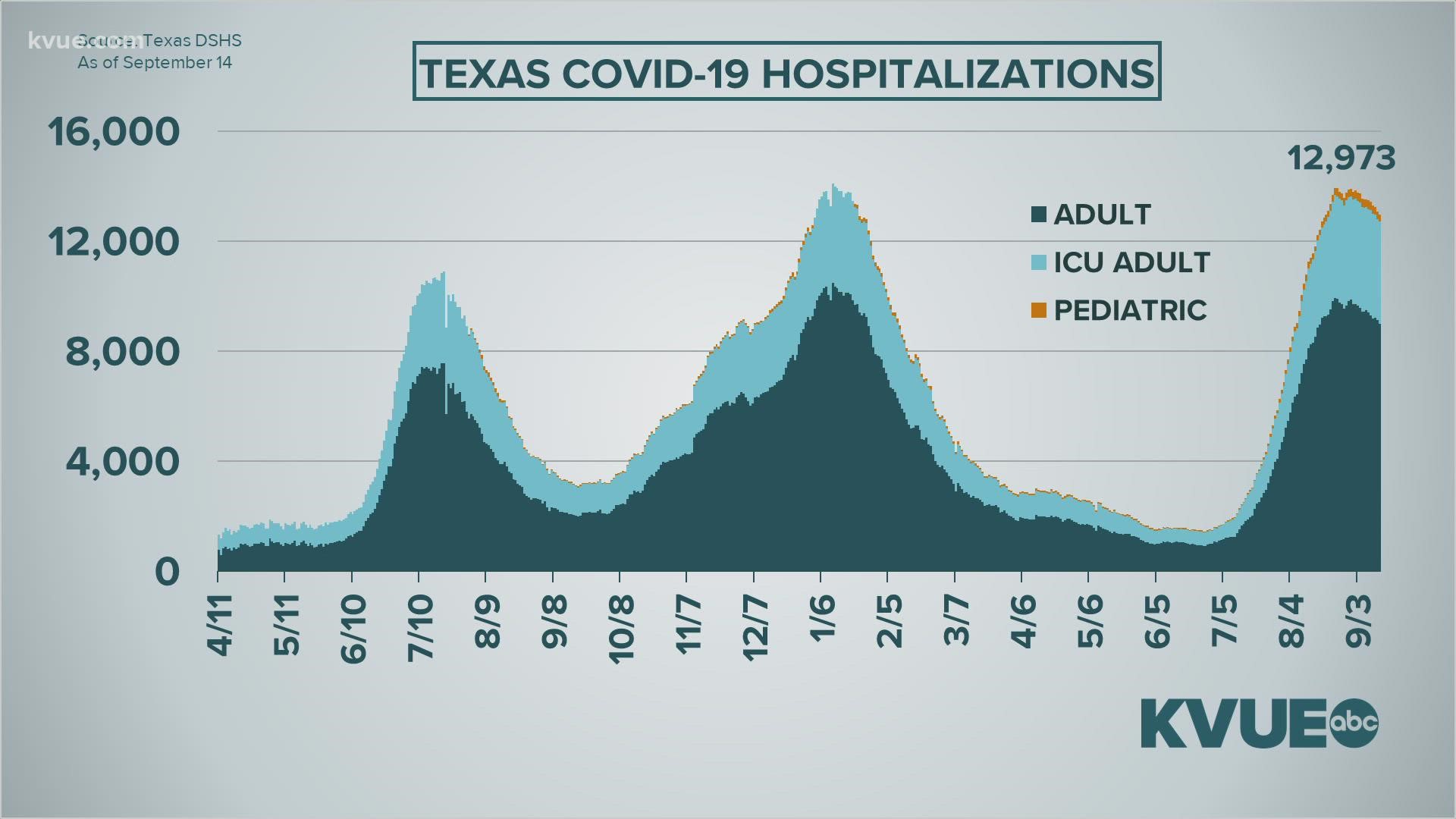 Austin Public Health said the city could move back to Stage 4 of its COVID-19 risk-based guidelines if hospitalizations continue to slow down.