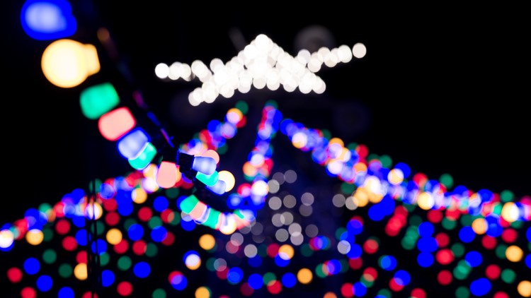 Austin's beloved Zilker Holiday Tree taking shape