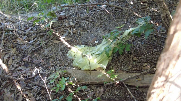 'This is more complex than what one police officer should have to do' | City leaders looking to add a dozen new jobs to address homeless encampments