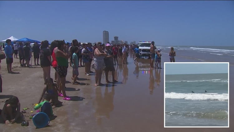 Shark attack on South Padre Island in Texas leaves several people hurt on Fourth of July Shark attack on South Padre Island in Texas leaves several people hurt on Fourth of July