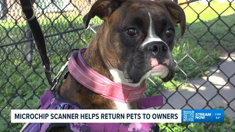 Bastrop unveils microchip scanning station to help reunite lost pets with owners