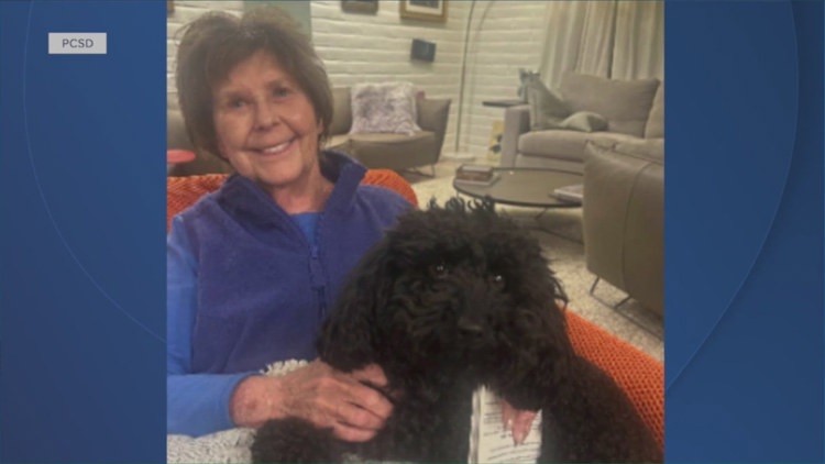 Person detained for questioning in connection with Nancy Guthrie abduction: Official