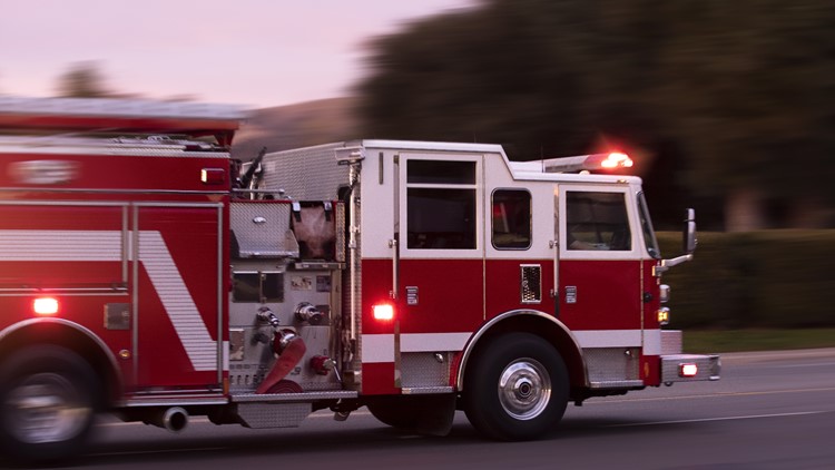 Dixon home damaged by early morning fire; several cats killed