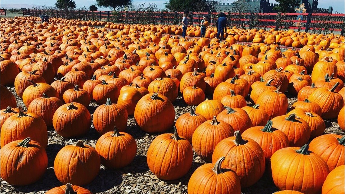 Inside the Central Valley's Dell'Osso Family Farms