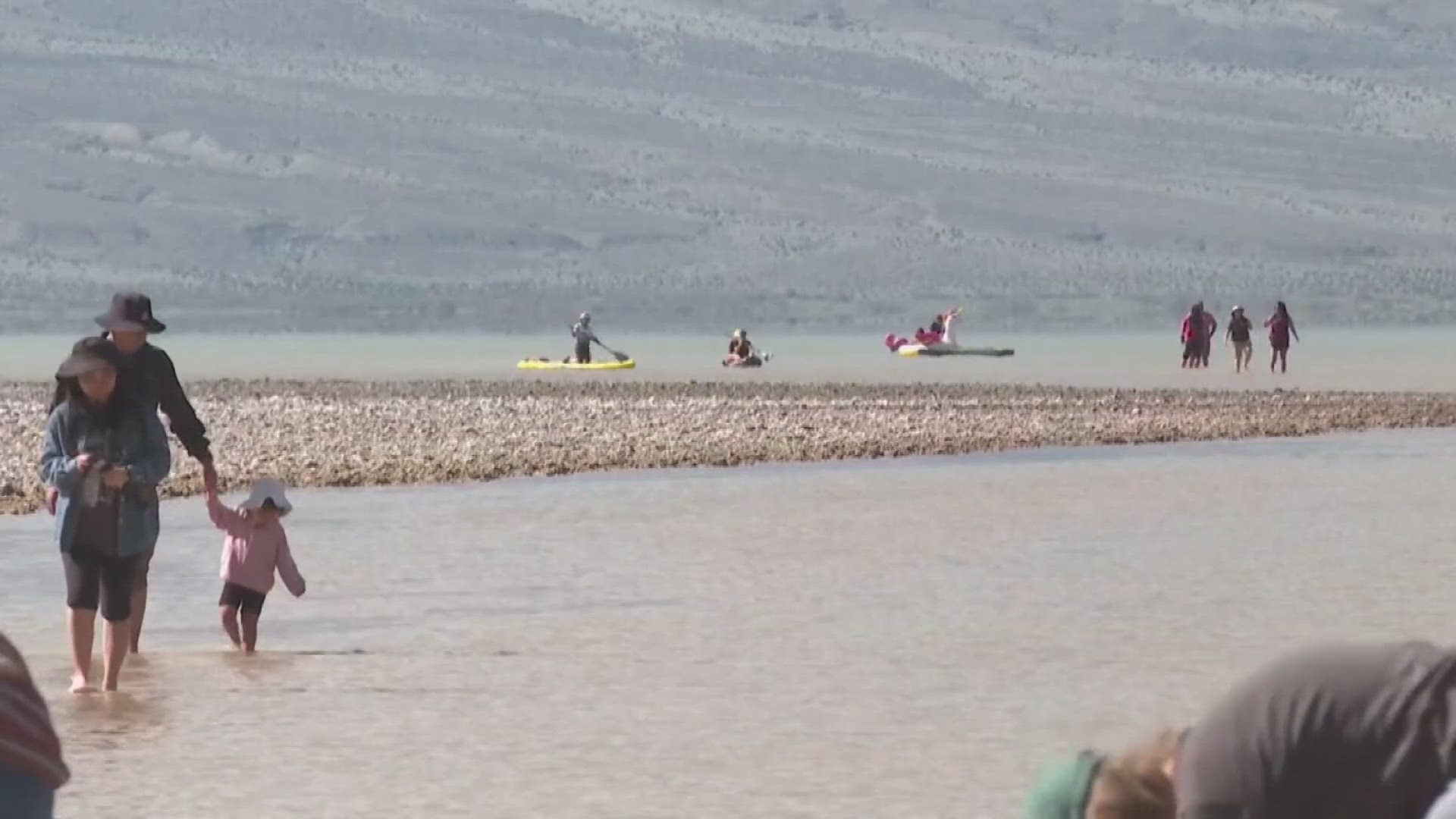 In the past six months Death Valley has received more than double its annual rainfall amount. Now people are flocking to Lake Manly.