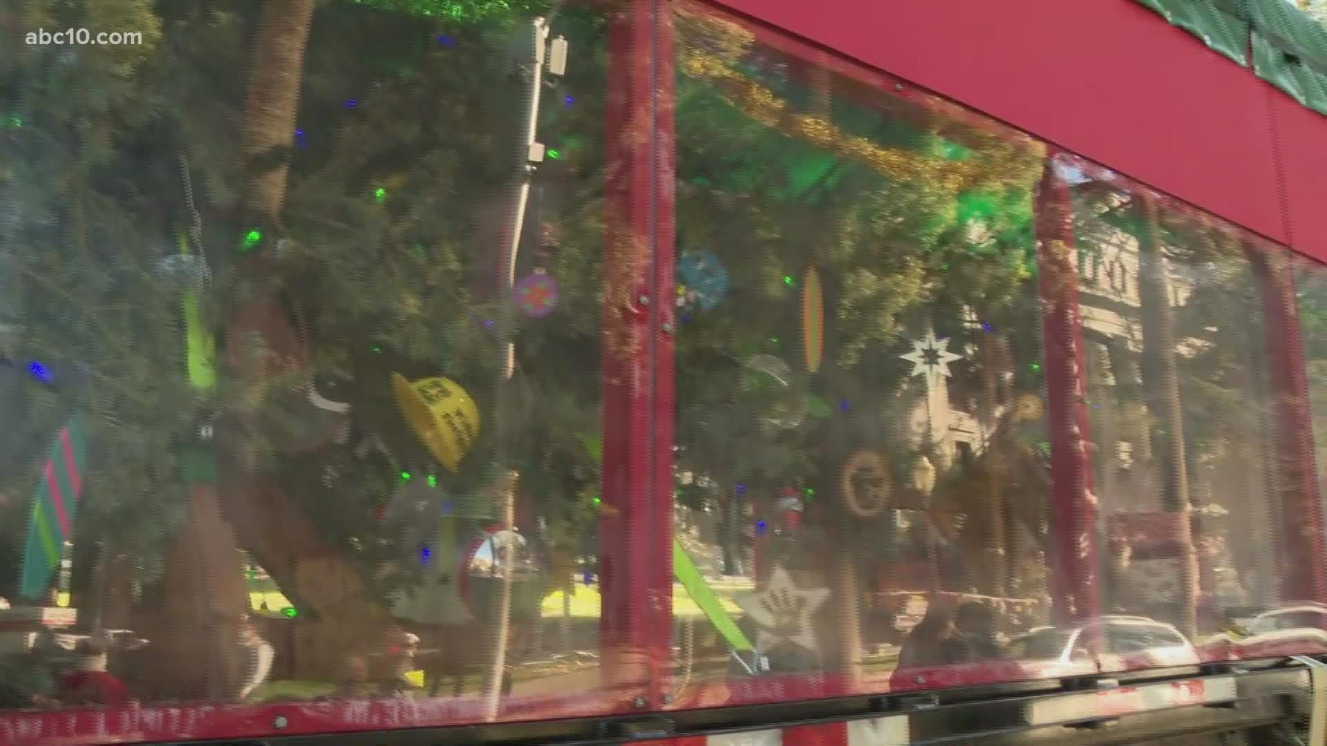 This year's U.S. Capitol Christmas Tree is from California. Before it heads to Washington, D.C., the tree is stopping in Sacramento.
