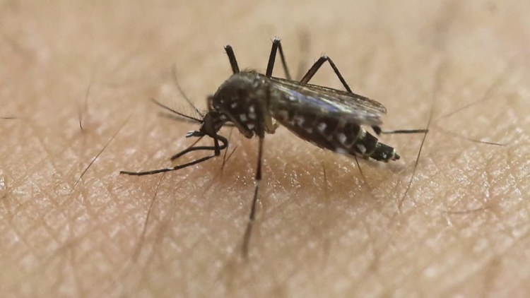 Four more DeKalb County mosquito traps test positive for West Nile Virus