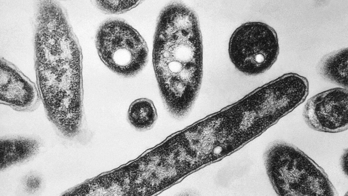 Legionnaires' disease reported at Fort Smith nursing home - Vimarsana News