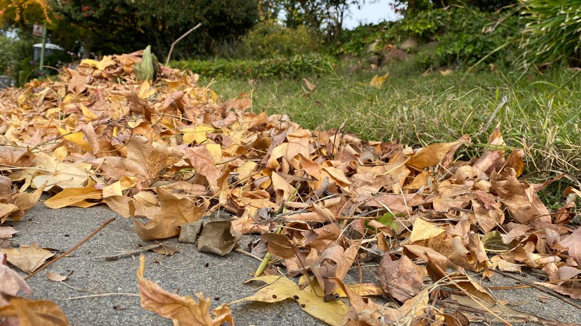 Falling leaves lead to major car repair risks | 10tv.com