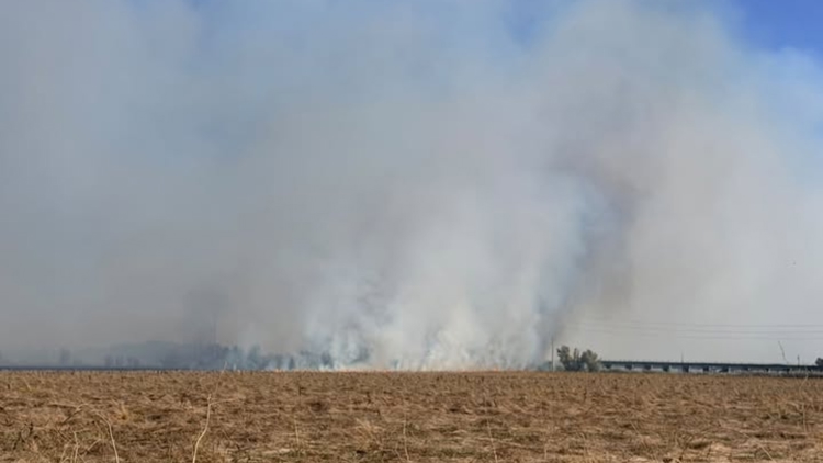 Wildfire burns near Yolo Bypass