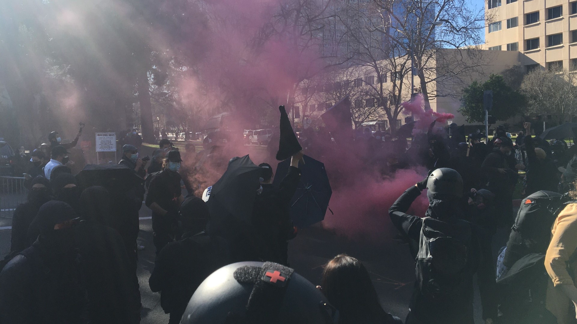 The group started dispersing pink smoke in the air while shouting anti-government rhetoric. They were met with law enforcement, but no one appeared to be arrested.