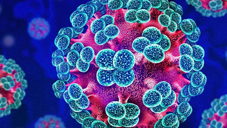 Breaking down myths about the hantavirus | What you need to know