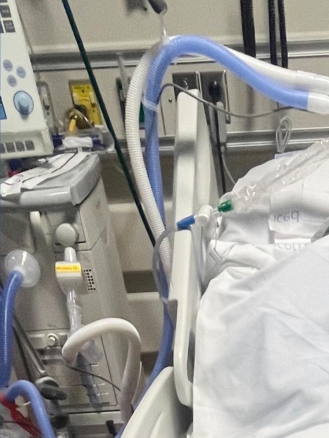 Who is Jaime Alanis? California farmworker dies after ICE raid injuries ...