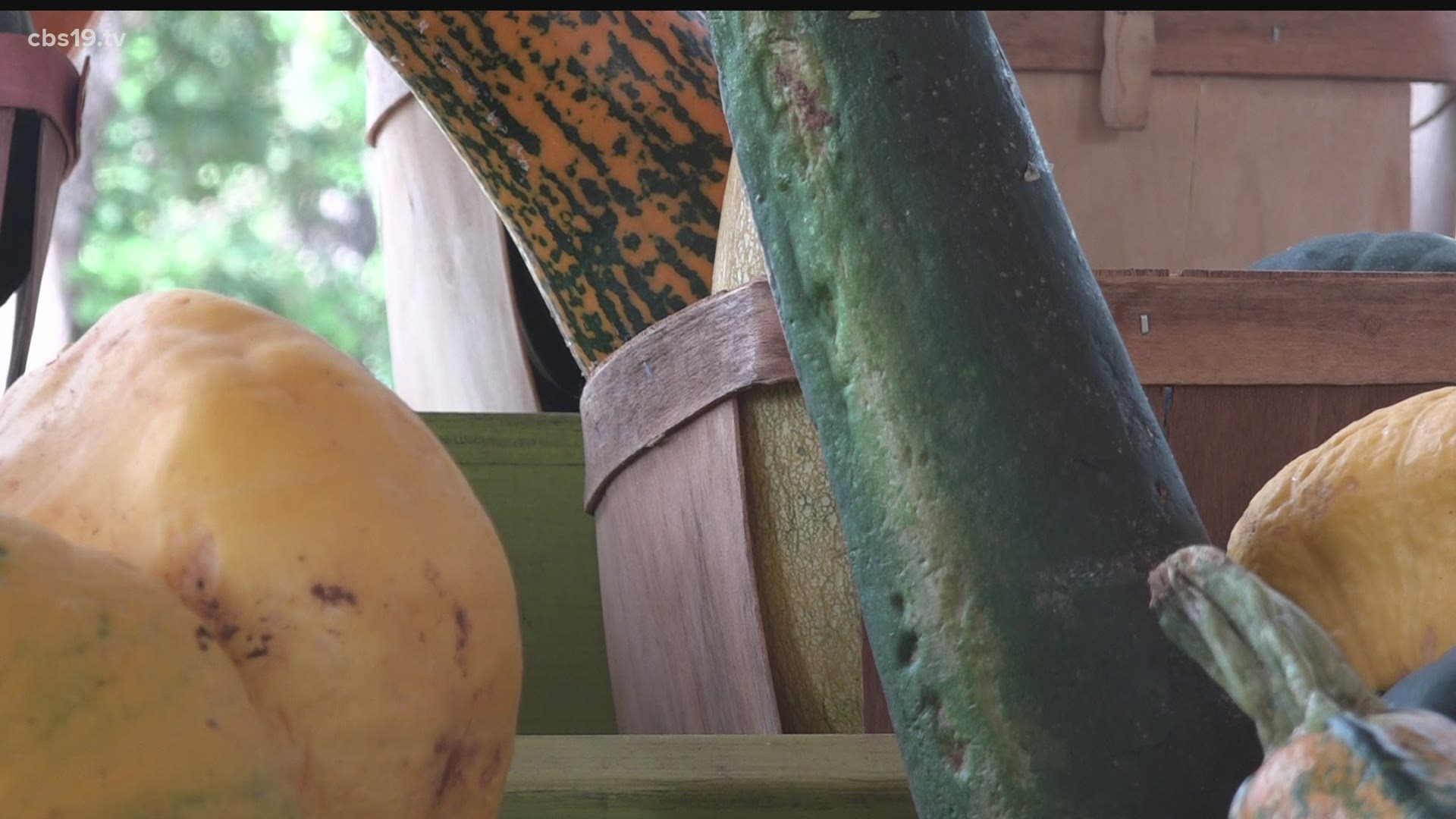 Farmers say the winter storm and May showers have shortened the harvest season by more than a month.