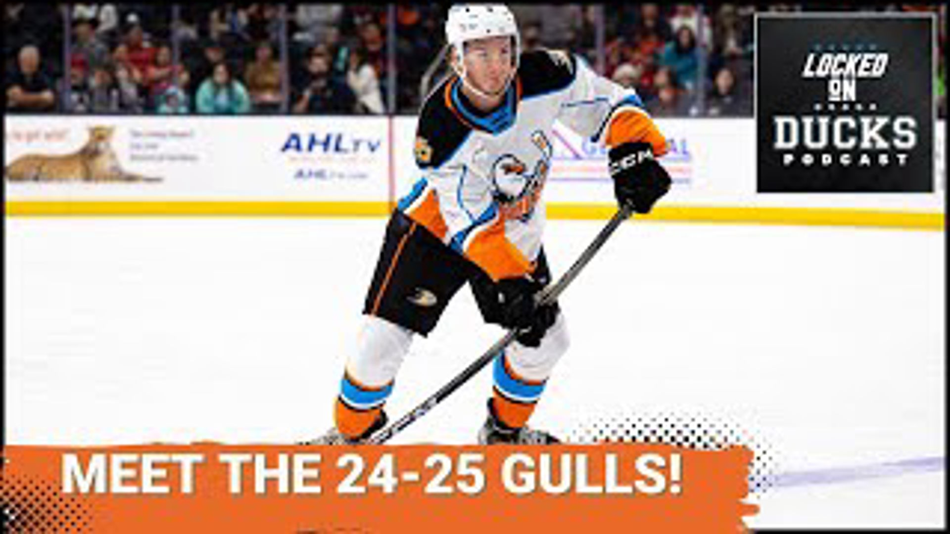 With the Anaheim Ducks' roster set and THEIR final cuts made, the San Diego Gulls' roster was taking shape, and we've finally got the roster for the upcoming season.