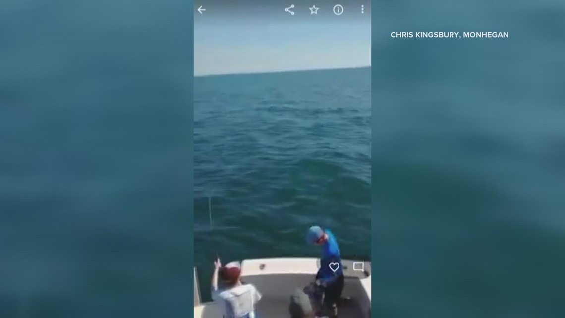 Mako shark jumps onto midcoast fishing boat - Vimarsana News