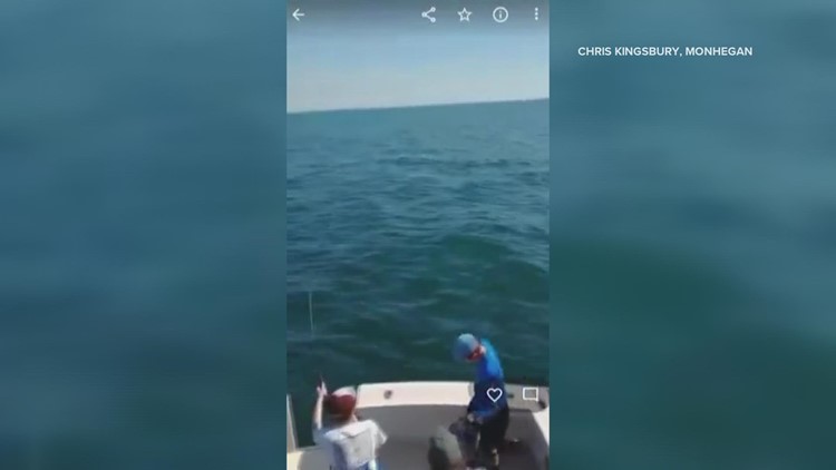 灰鲭鲨跳上蒙黑根海岸的中海岸渔船