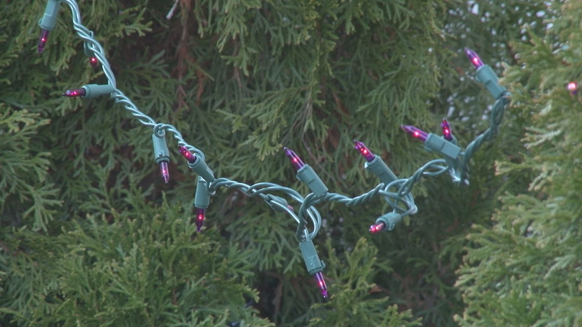 Recycle Christmas Lights Walmart 