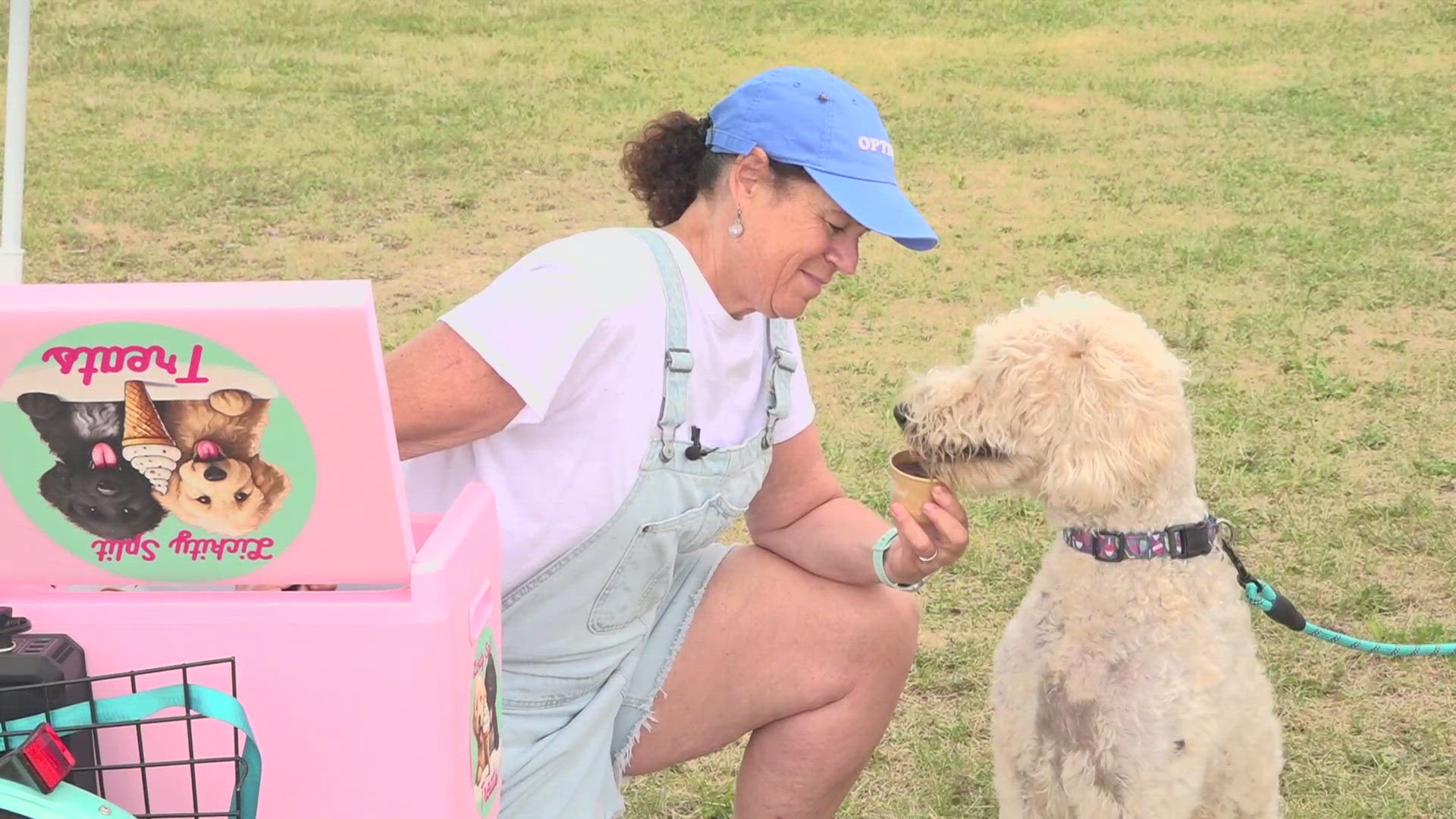 Stacey Stolman travels on her e-bike, delivering ice cream to local dogs.