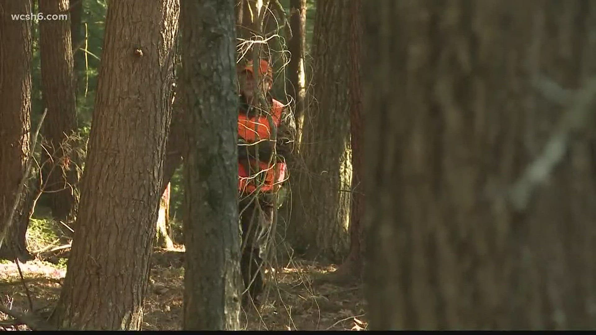 Amishbacked law creates hunting loophole