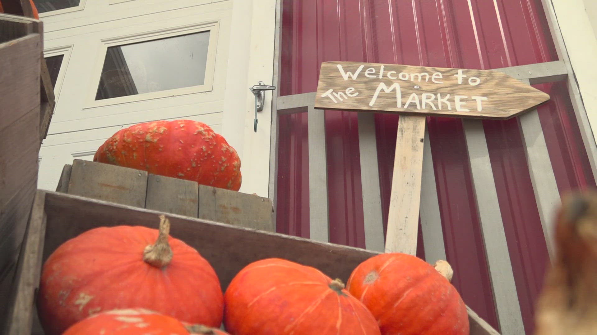 Wilson's opened the location back in April, and all October long, they're hosting the first ever Pumpkinfest.