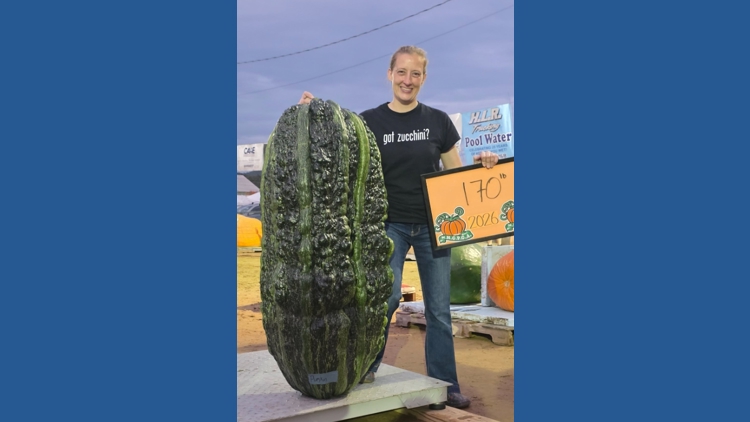 Maine woman grows 170-pound zucchini, breaks North American record