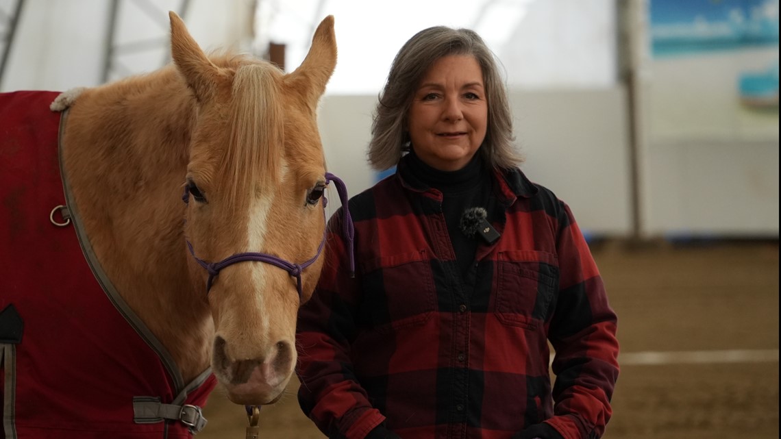 Nellie the horse rehabbing veterans with trauma - Vimarsana News