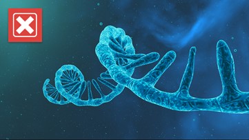 No, there is no evidence the COVID-19 vaccine spike protein is ‘cytotoxic’