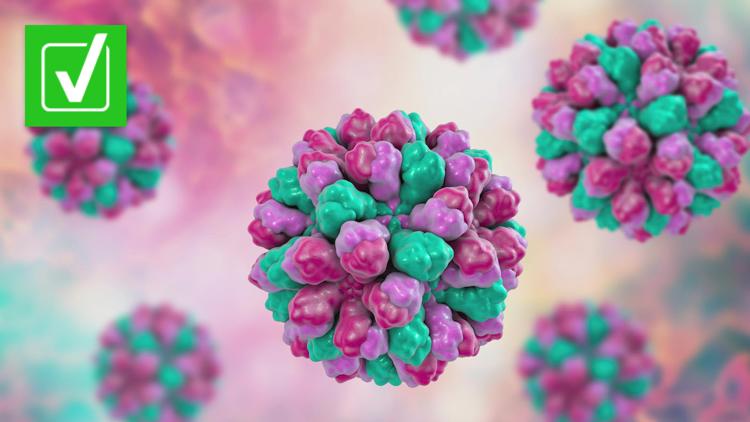 Yes, norovirus, or ‘stomach flu,’ outbreaks have increased in the U.S. Yes, norovirus, or ‘stomach flu,’ outbreaks have increased in the U.S.