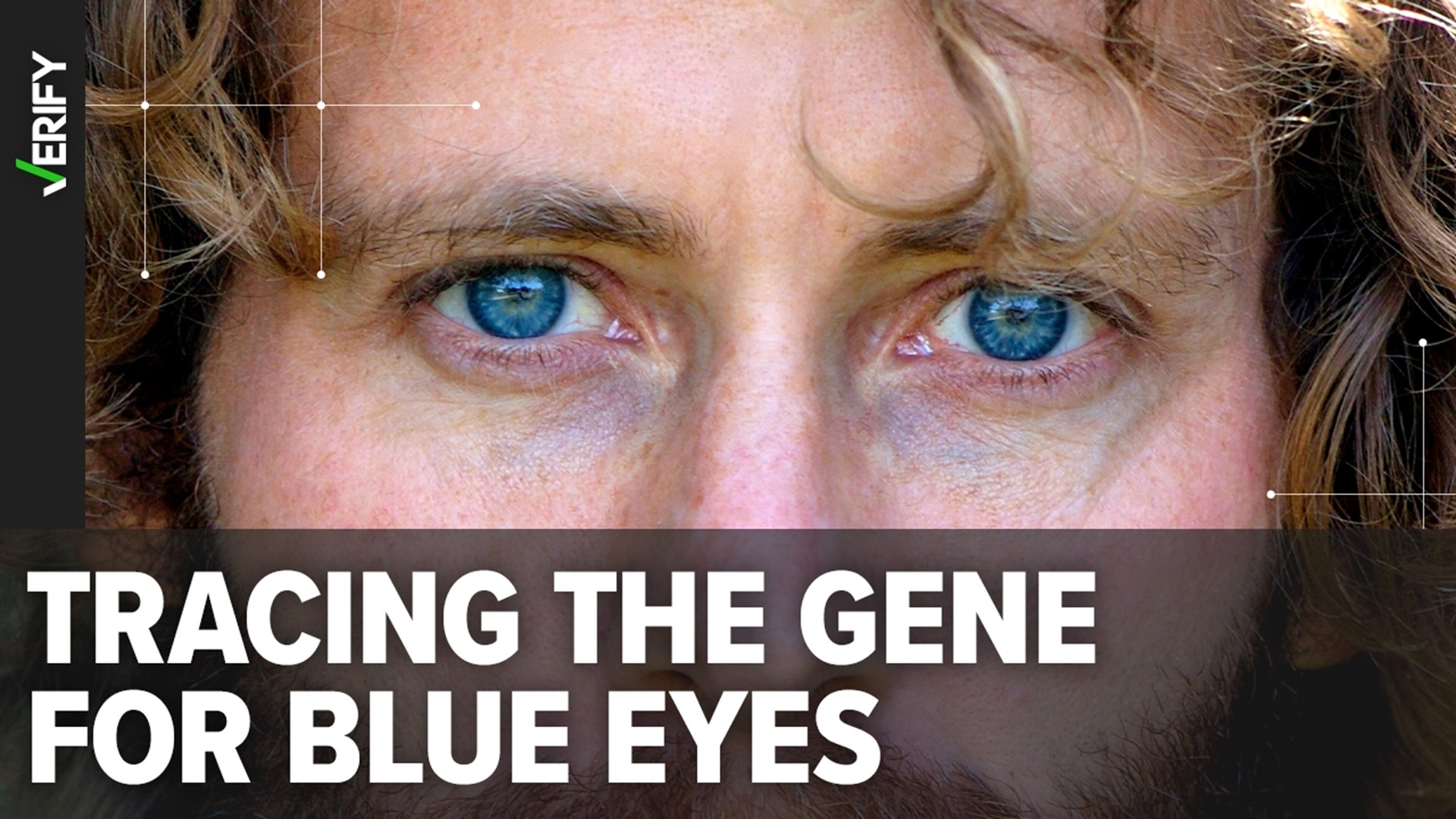 All blue-eyed people come from a shared common ancestor