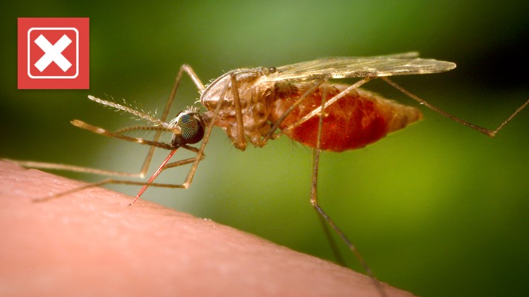 No, a mosquito project linked to Bill Gates is not responsible for recent malaria cases in the U.S.