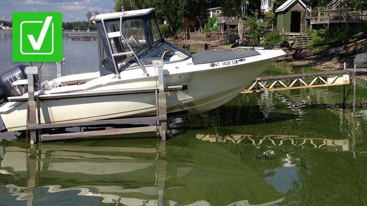 Yes, some blue-green algae is toxic to pets