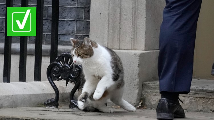 Yes, Larry the Cat has outlasted the last four British prime ministers