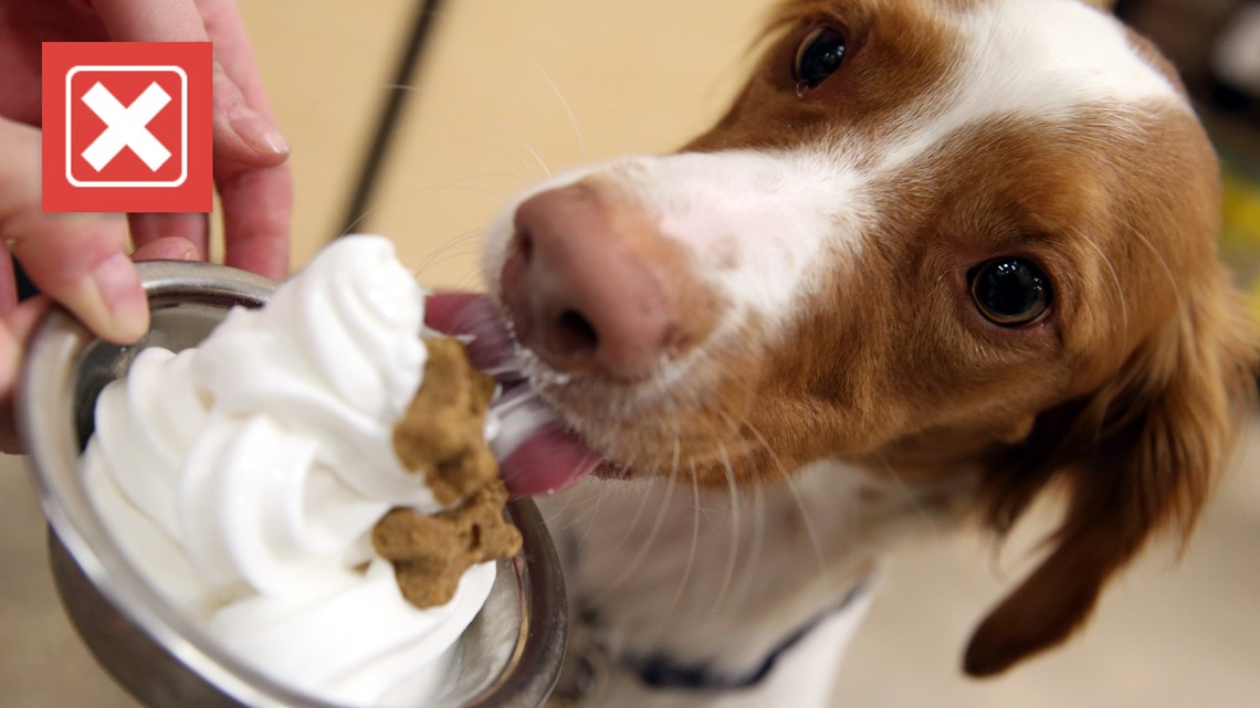 Is mcdonalds ice sale cream safe for dogs