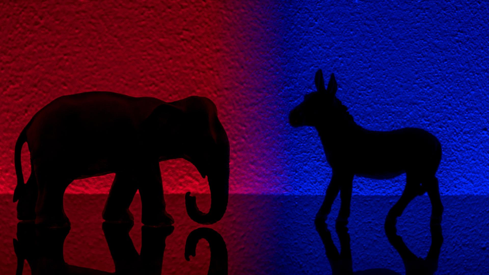 Do you have to vote for the party you are registered with?