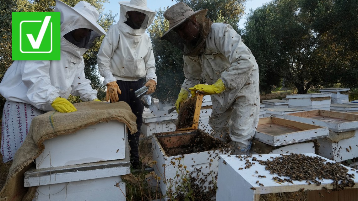 ‘Telling the bees’ is real beekeeping, not royal, tradition ...