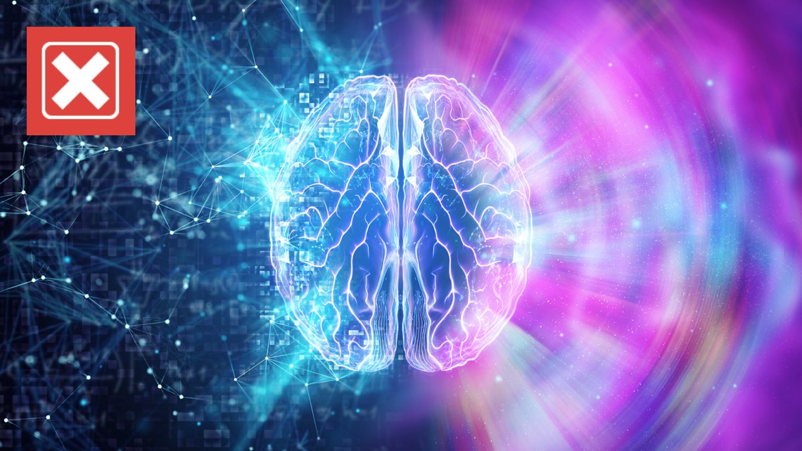 Left Brain vs Right Brain Tests by Treetop Teaching