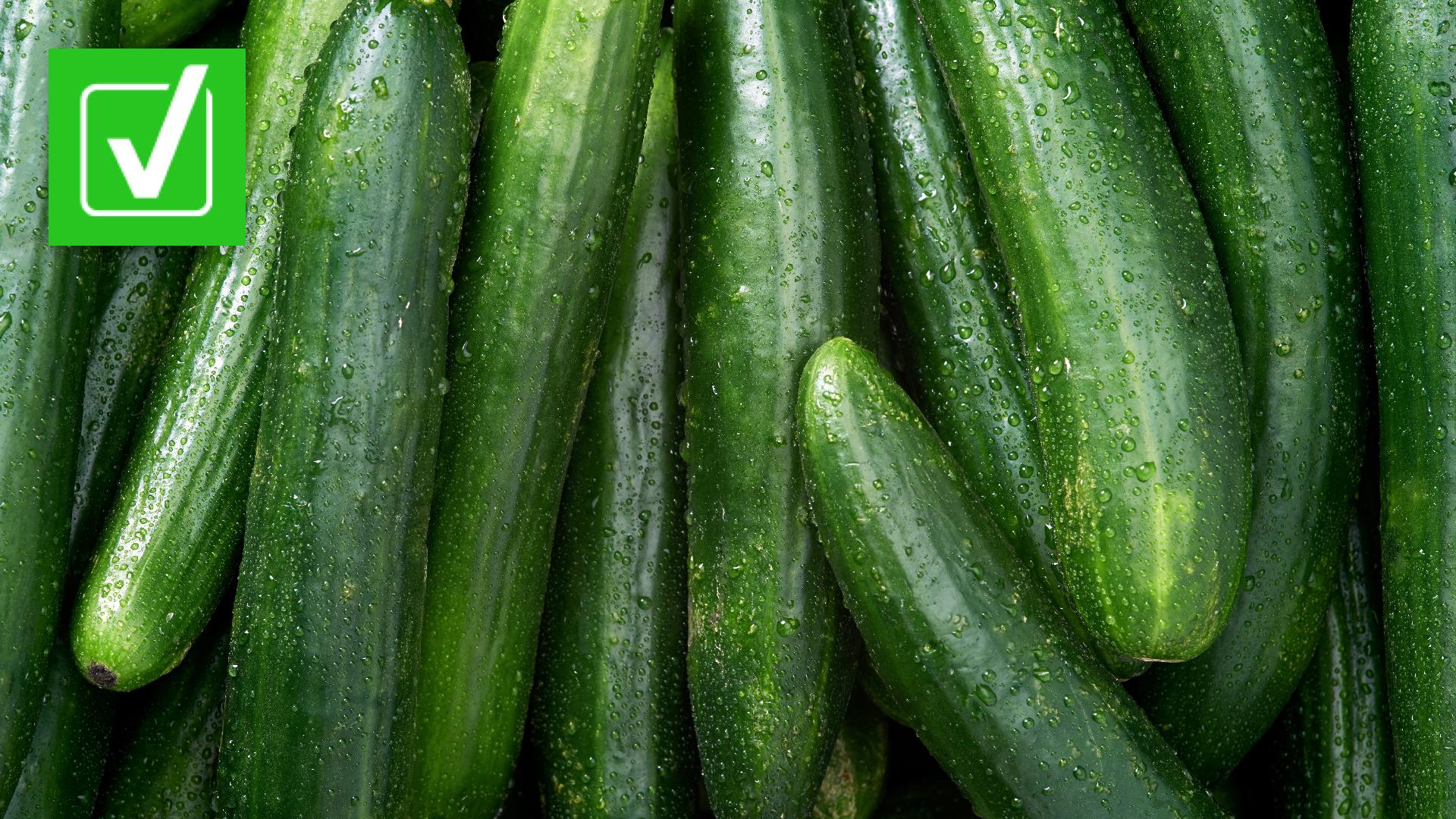 Fresh Start Produce Sales, Inc. cucumbers recalled for salmonella