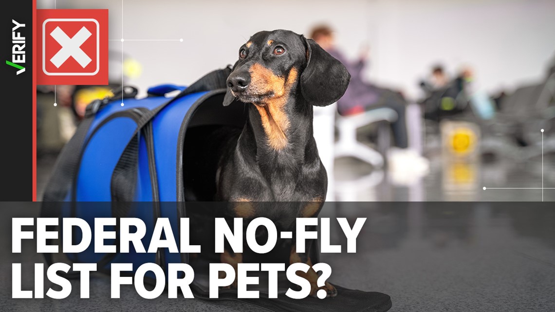 There's no FAA no-fly list for pets on planes | verifythis.com