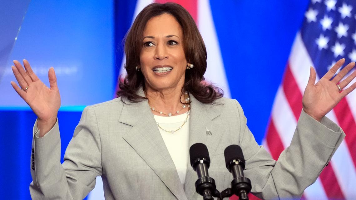 Harris won’t automatically replace Biden after he drops out